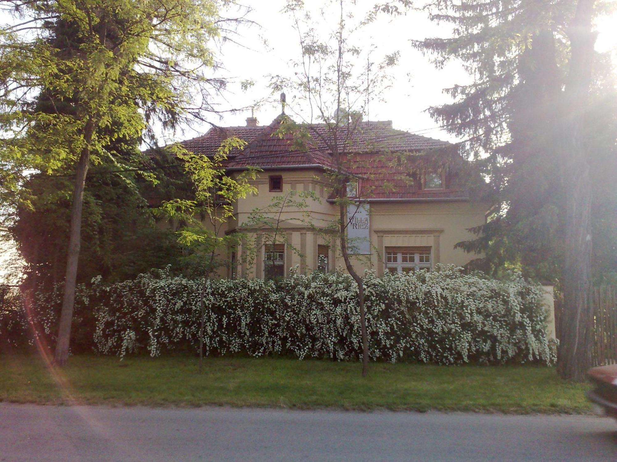 Villa Ricz Palic Exterior photo